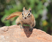 0937_ik.jpg (50846 Byte)