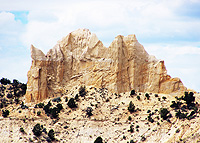 1241a_ik.jpg (50846 Byte)